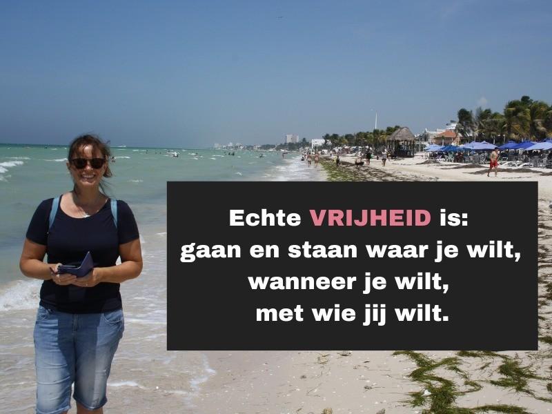 We willen altijd meer. image