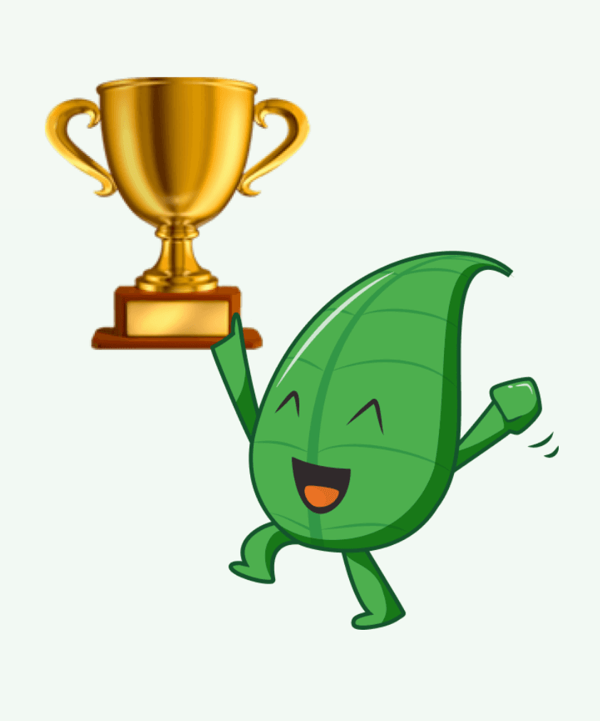 Succesvol innoveren is geen toeval image