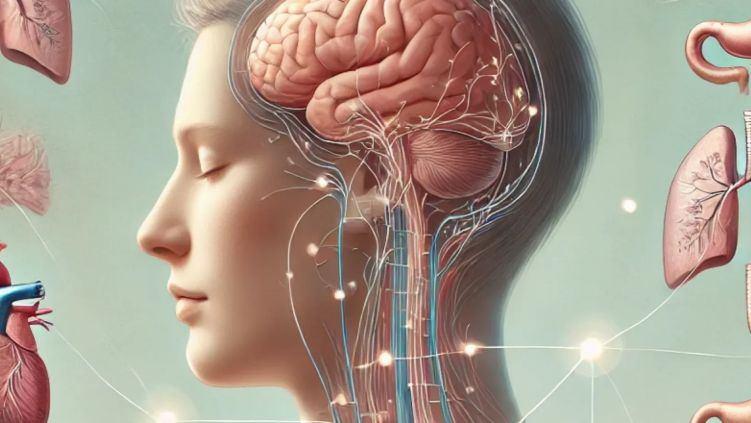 Het hoofd is geen los onderdeel image