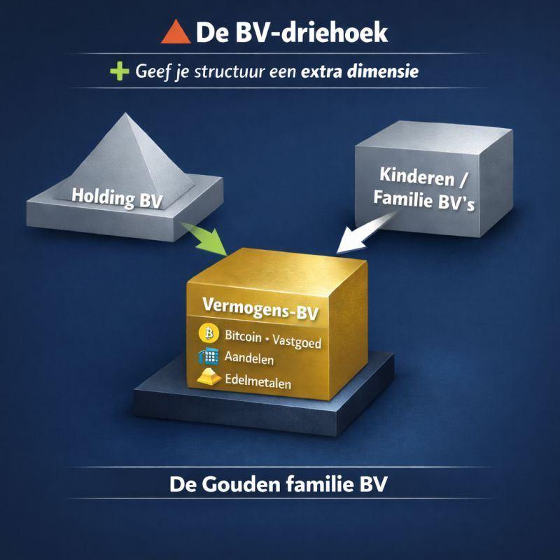 De BV-driehoek image