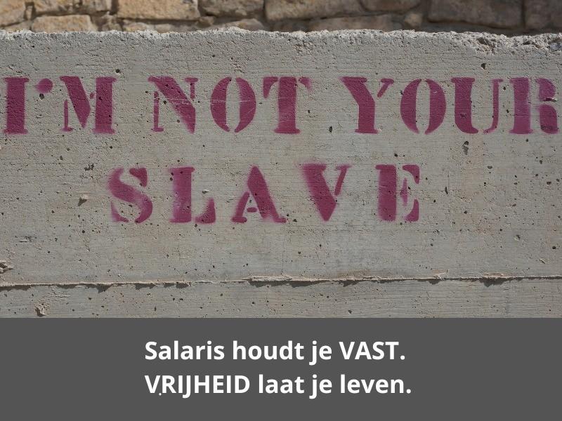 3 tot 4 miljoen Nederlanders staan met รฉรฉn voet buiten loondienst. Maarโฆ ze blijven staan. Waarom? image